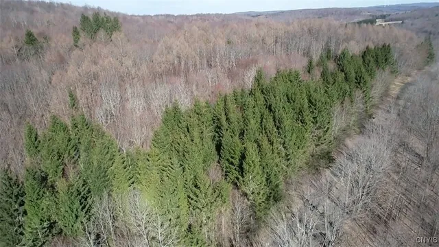 $91,900 | 50 Buchanan Road, Sanford, NY 13865