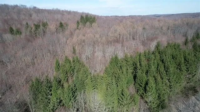 $91,900 | 50 Buchanan Road, Sanford, NY 13865