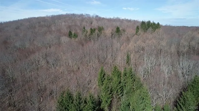 $91,900 | 50 Buchanan Road, Sanford, NY 13865