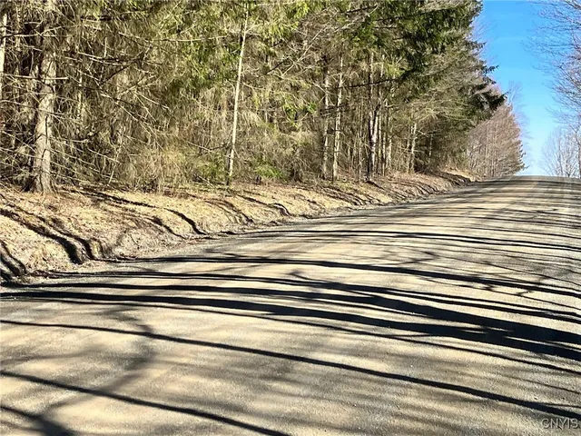 $91,900 | 50 Buchanan Road, Sanford, NY 13865