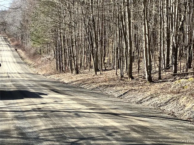 $91,900 | 50 Buchanan Road, Sanford, NY 13865