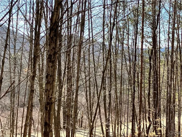 $91,900 | 50 Buchanan Road, Sanford, NY 13865