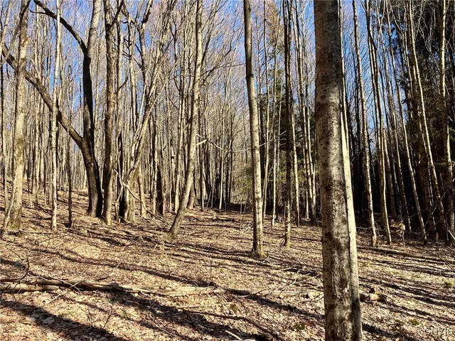 $91,900 | 50 Buchanan Road, Sanford, NY 13865