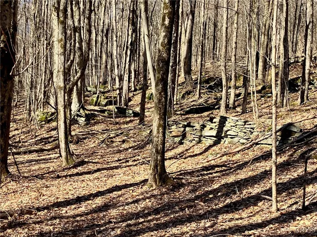 $91,900 | 50 Buchanan Road, Sanford, NY 13865