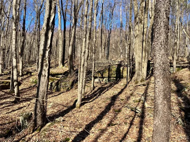 $91,900 | 50 Buchanan Road, Sanford, NY 13865