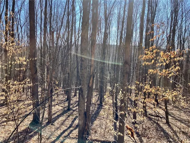 $91,900 | 50 Buchanan Road, Sanford, NY 13865