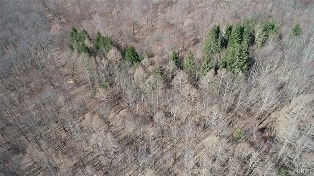 $91,900 | 50 Buchanan Road, Sanford, NY 13865