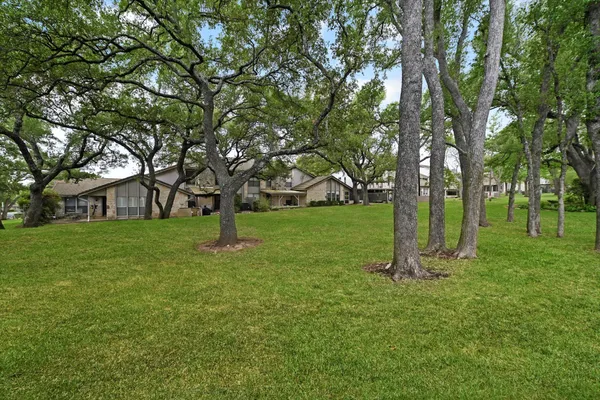 a view of a park with large trees