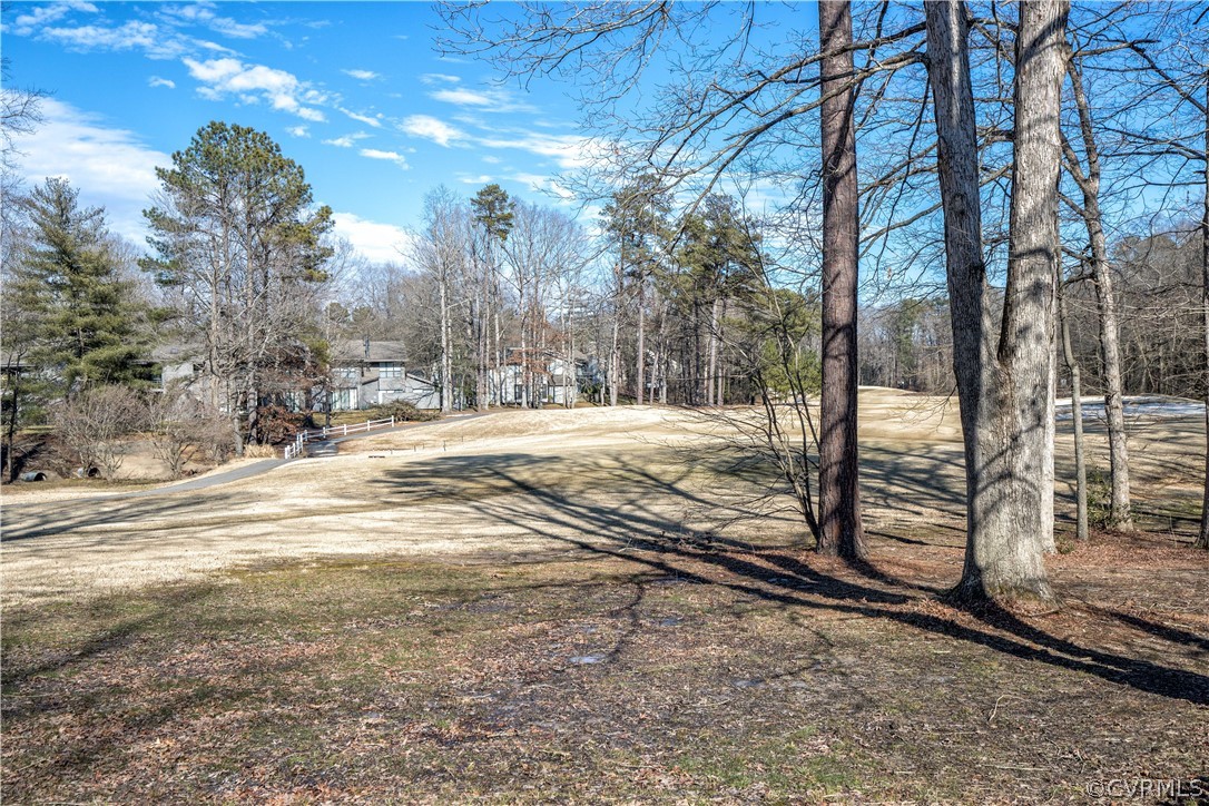 13916 Sagebrook Road Midlothian, VA 23112 - Photo 3 of 40