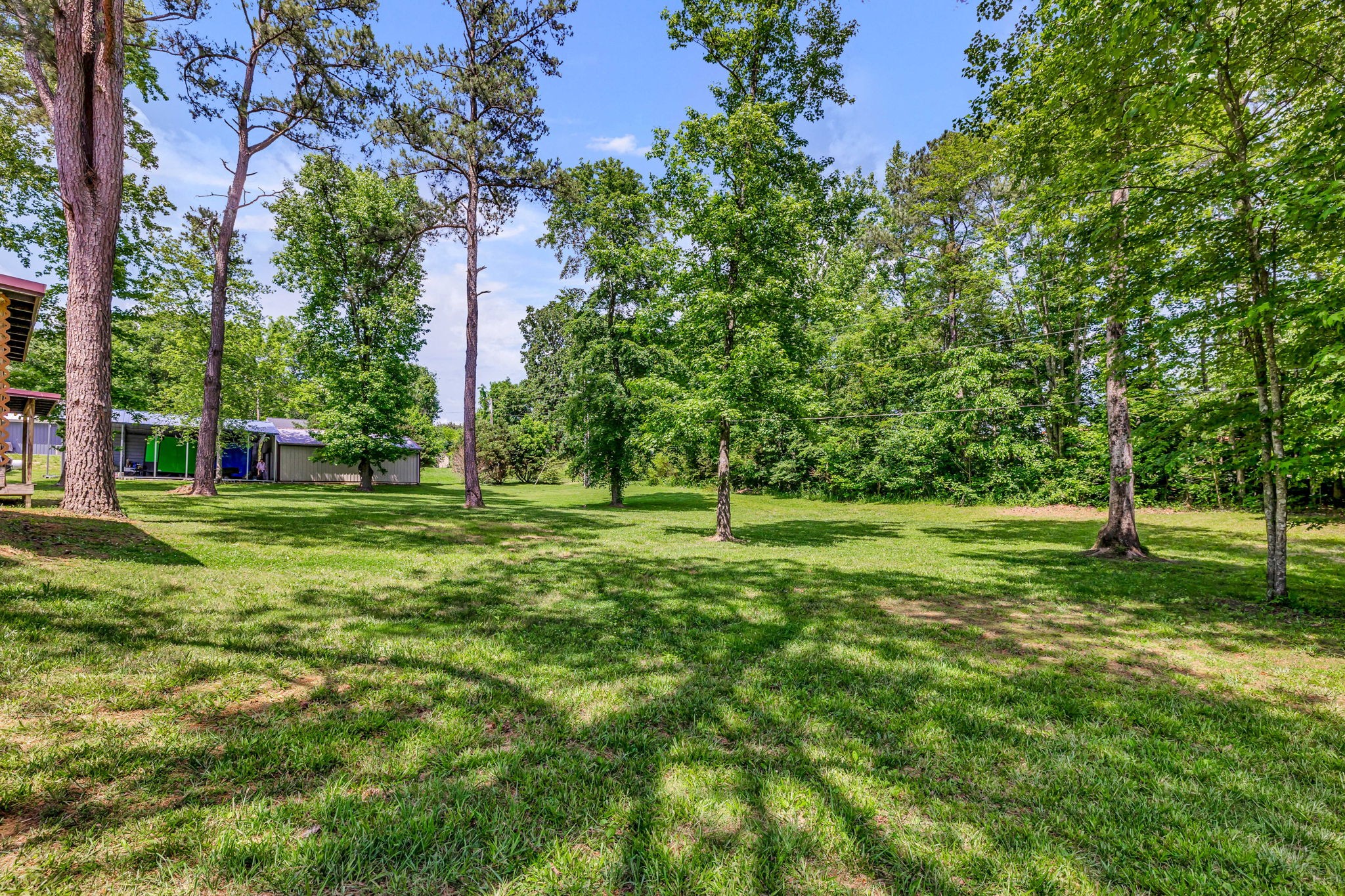 427 Telegraph Street Tennessee Ridge, TN 37178 - Photo 34 of 47 a view of a tree in a yard