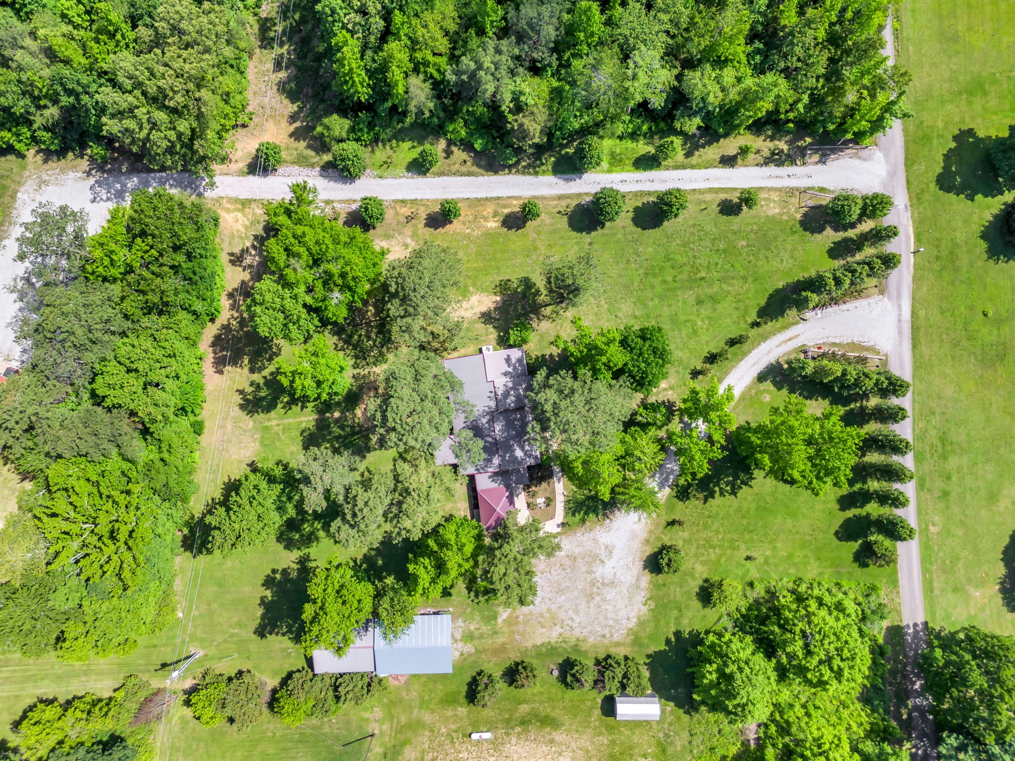 427 Telegraph Street Tennessee Ridge, TN 37178 - Photo 46 of 47 a view of a garden with plants and large trees
