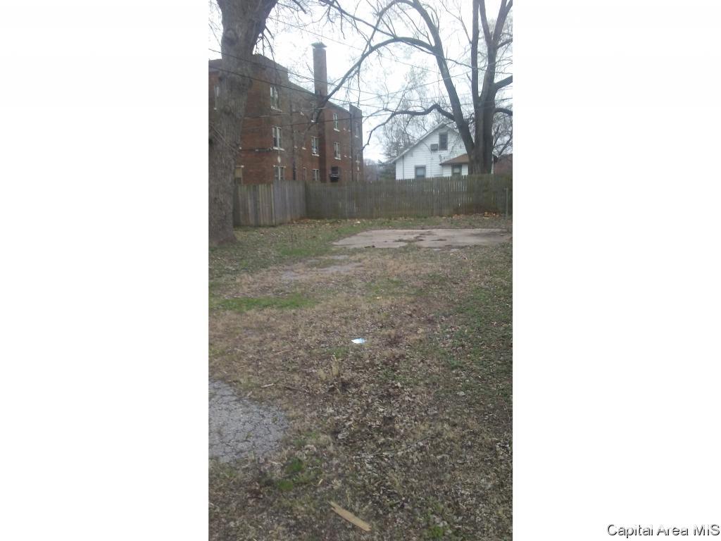 1338 North 8th Street Springfield, IL 62702 - Photo 3 of 3