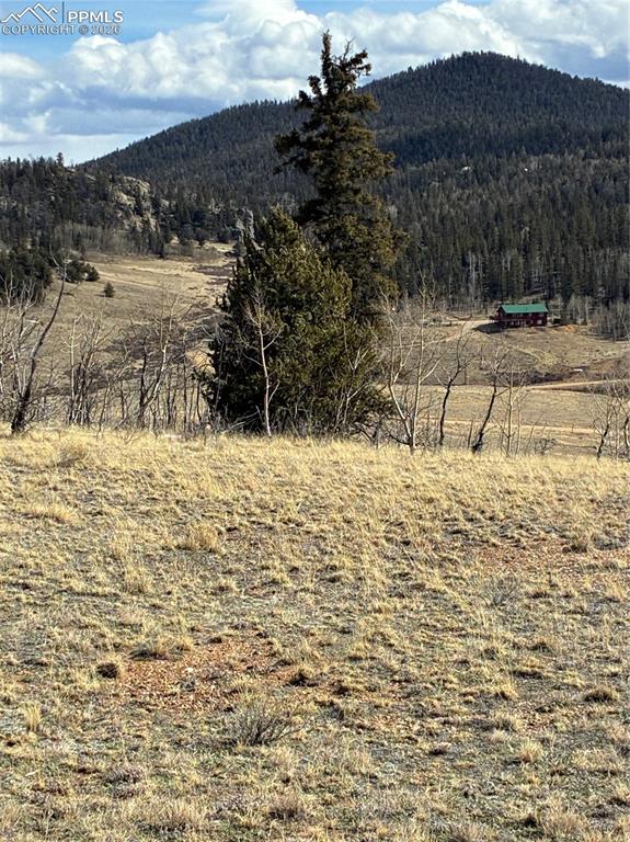 828 Gitche Goone Lane Como, CO 80432 - Photo 11 of 31 a view of ocean with mountain