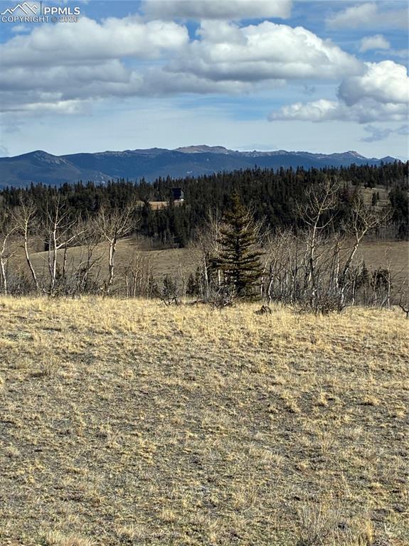 828 Gitche Goone Lane Como, CO 80432 - Photo 12 of 31 a view of lake view and mountain