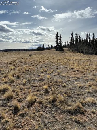 a view of swimming pool with an outdoor space