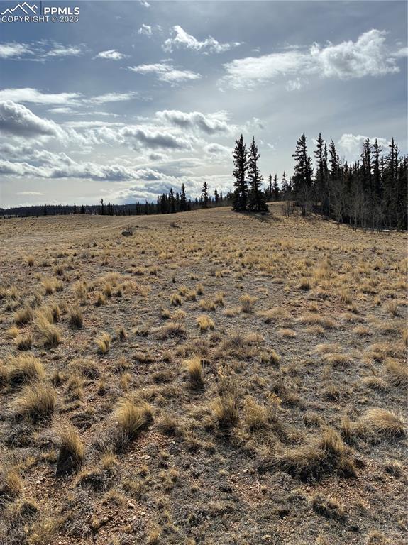 828 Gitche Goone Lane Como, CO 80432 - Photo 17 of 31 a view of a lake