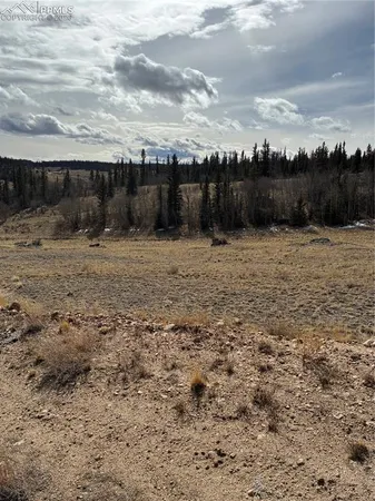 a view of snow on the road