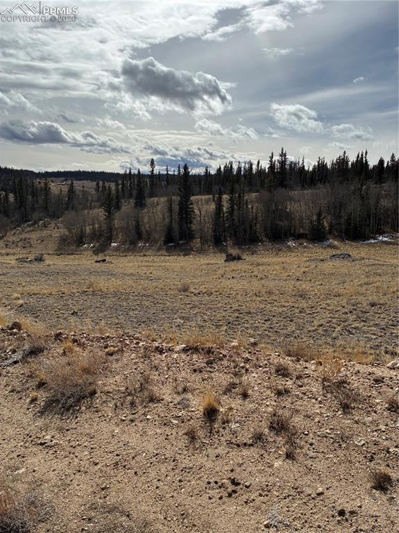 828 Gitche Goone Lane Como, CO 80432 - Photo 18 of 31 a view of a yard