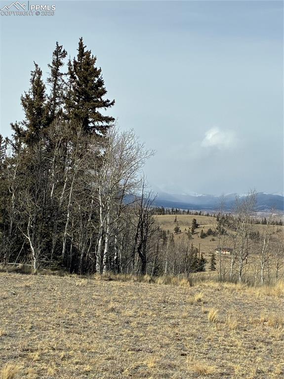 828 Gitche Goone Lane Como, CO 80432 - Photo 20 of 31