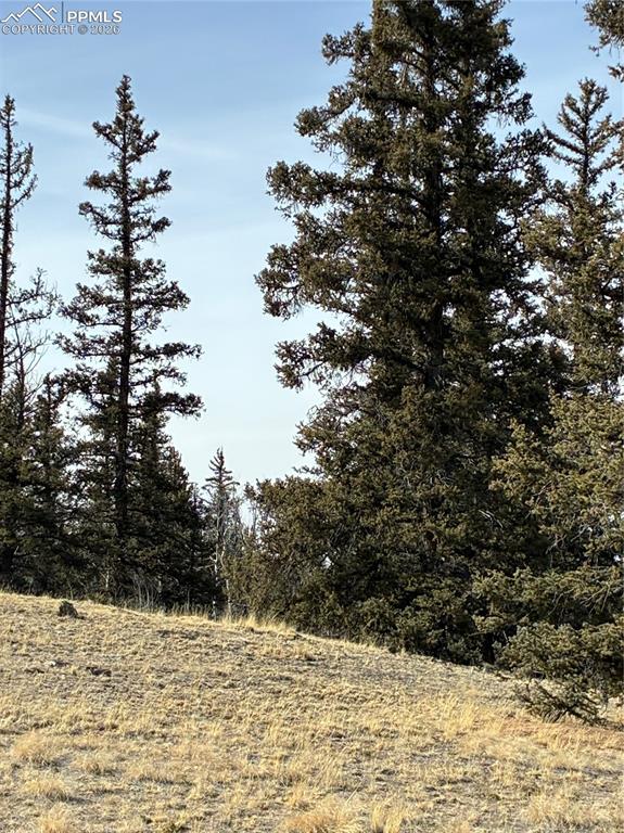 828 Gitche Goone Lane Como, CO 80432 - Photo 21 of 31 a view of snow on the road