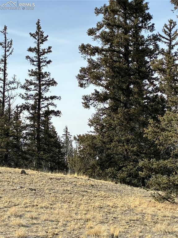 828 Gitche Goone Lane Como, CO 80432 - Photo 22 of 31