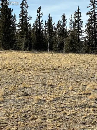 a view of an outdoor space