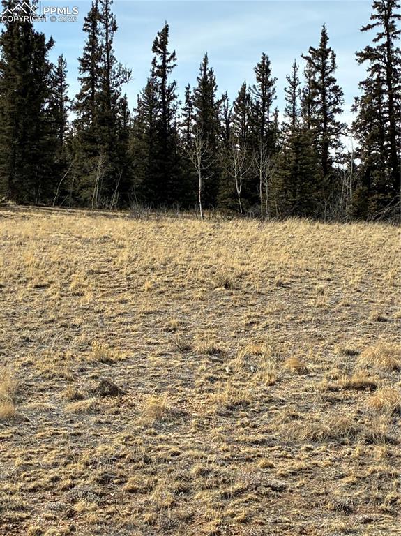 828 Gitche Goone Lane Como, CO 80432 - Photo 23 of 31 a view of a yard