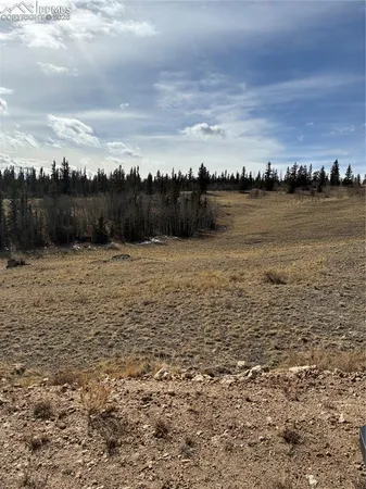a view of beach and ocean