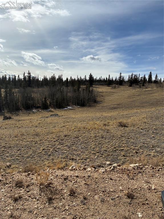 828 Gitche Goone Lane Como, CO 80432 - Photo 26 of 31 a view of a lake