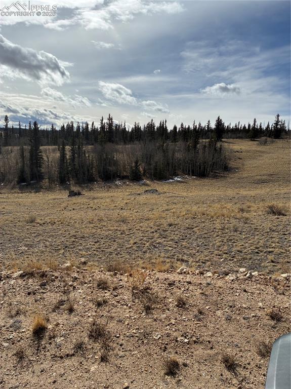 828 Gitche Goone Lane Como, CO 80432 - Photo 27 of 31