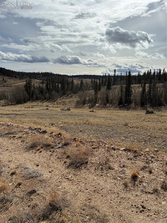 828 Gitche Goone Lane Como, CO 80432 - Photo 30 of 31 a view of a yard