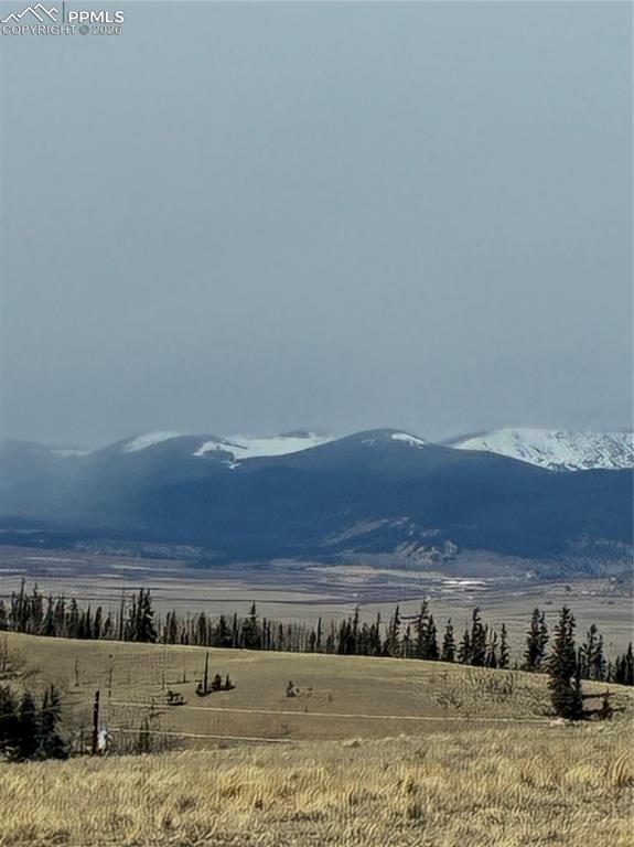 828 Gitche Goone Lane Como, CO 80432 - Photo 6 of 31