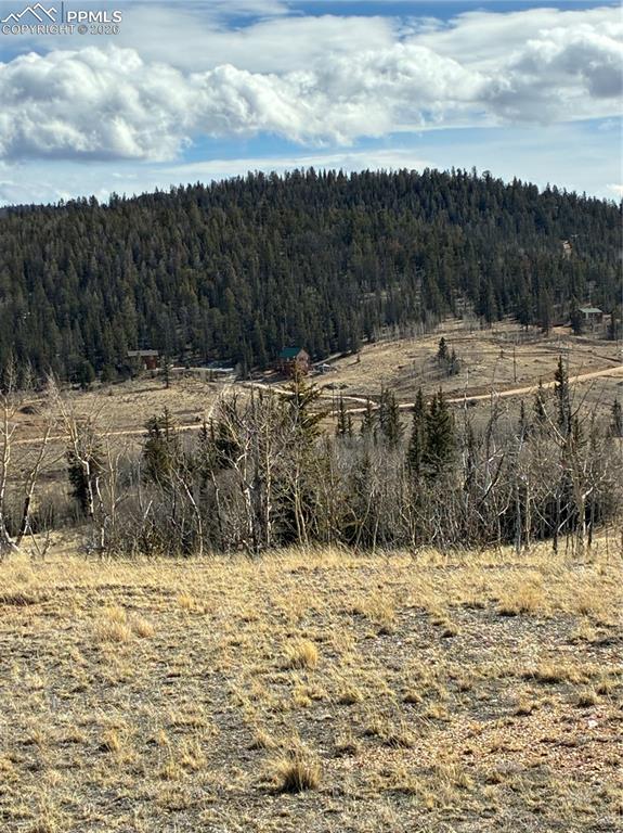 828 Gitche Goone Lane Como, CO 80432 - Photo 9 of 31 a view of a yard covered with snow