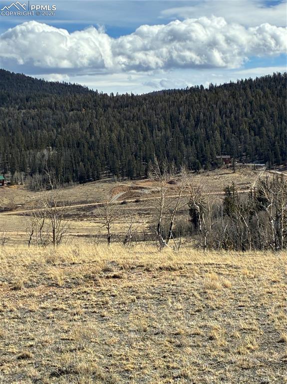 828 Gitche Goone Lane Como, CO 80432 - Photo 10 of 31 a view of a yard