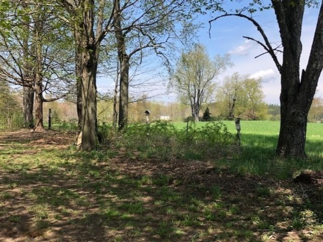 6220 South Clark Road Nashville, MI 49073 - Photo 16 of 36 6220 Clark 7