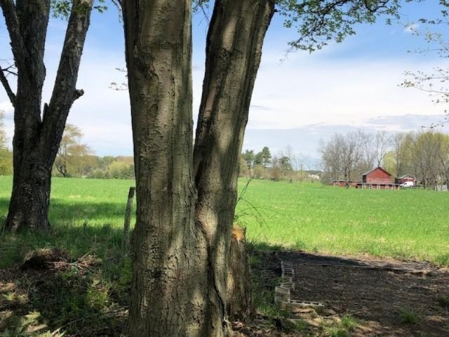 6220 South Clark Road Nashville, MI 49073 - Photo 17 of 36 6220 Clark 8