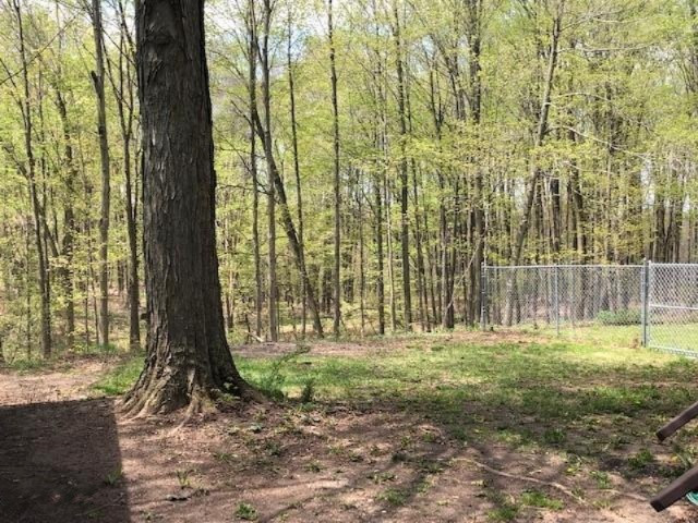 6220 South Clark Road Nashville, MI 49073 - Photo 9 of 36 6220 Clark 35