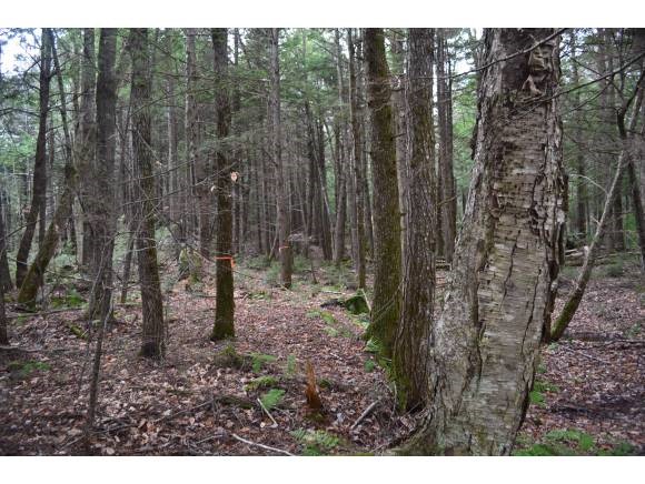 Off Partridge Hill Road Sandwich, NH 03227 - Photo 1 of 1