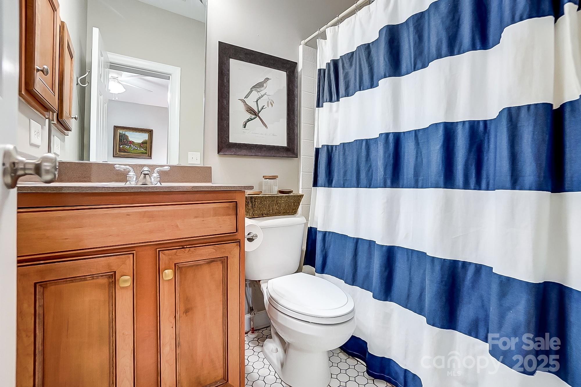 134 Mills Lane Fort Mill, SC 29708 - Photo 34 of 45 a bathroom with a toilet a sink and a shower curtain