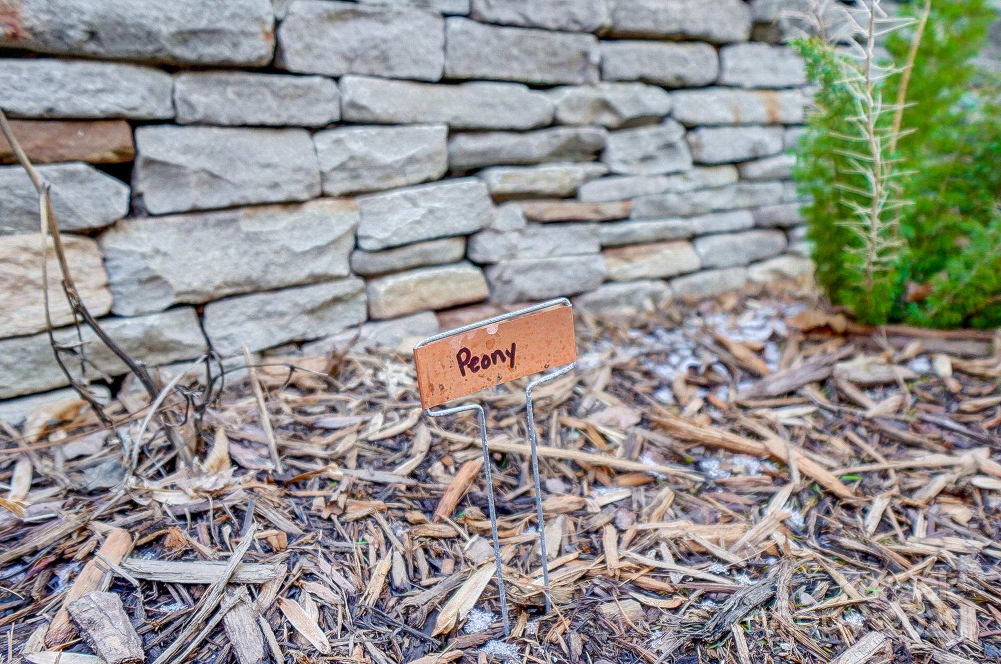 134 Mills Lane Fort Mill, SC 29708 - Photo 43 of 45 a view of an outdoor space and a street view