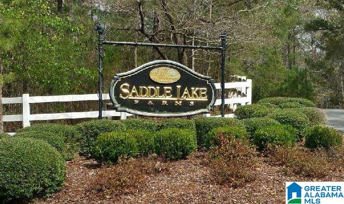 121 Thoroughbred Lane Alabaster, AL 35007 - Photo 44 of 48