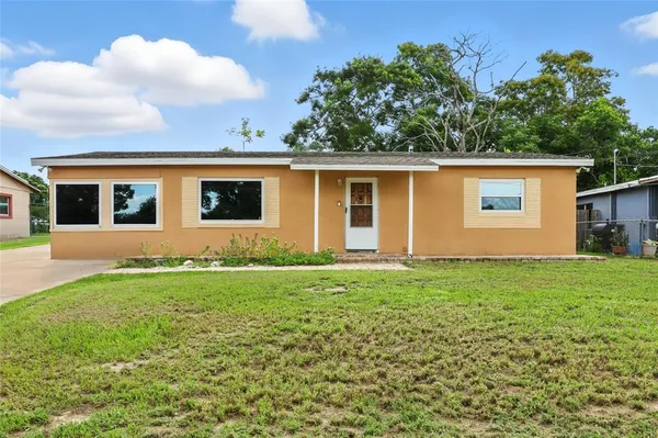 a view of a backyard with plants and a garden