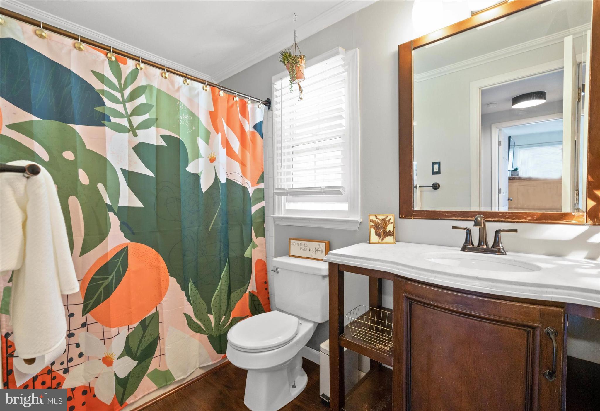 141 West Rutherford Drive Newark, DE 19713 - Photo 22 of 30 a bathroom with a sink toilet and mirror