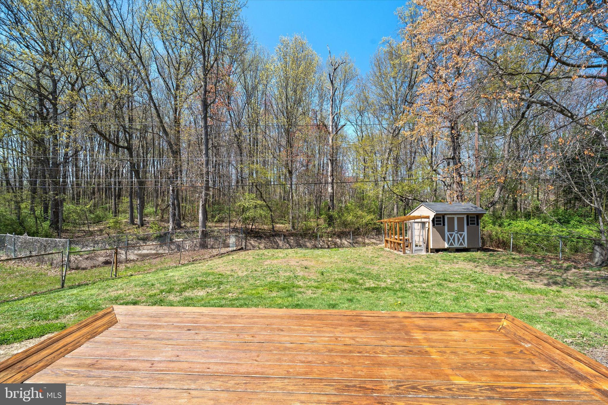 141 West Rutherford Drive Newark, DE 19713 - Photo 27 of 30 a view of a backyard with large trees