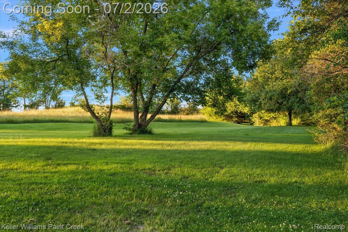 54230 Card Road Macomb, MI 48042 - Photo 16 of 73 Expansive green lawn surrounded by mature trees and natural landscaping under a clear sky