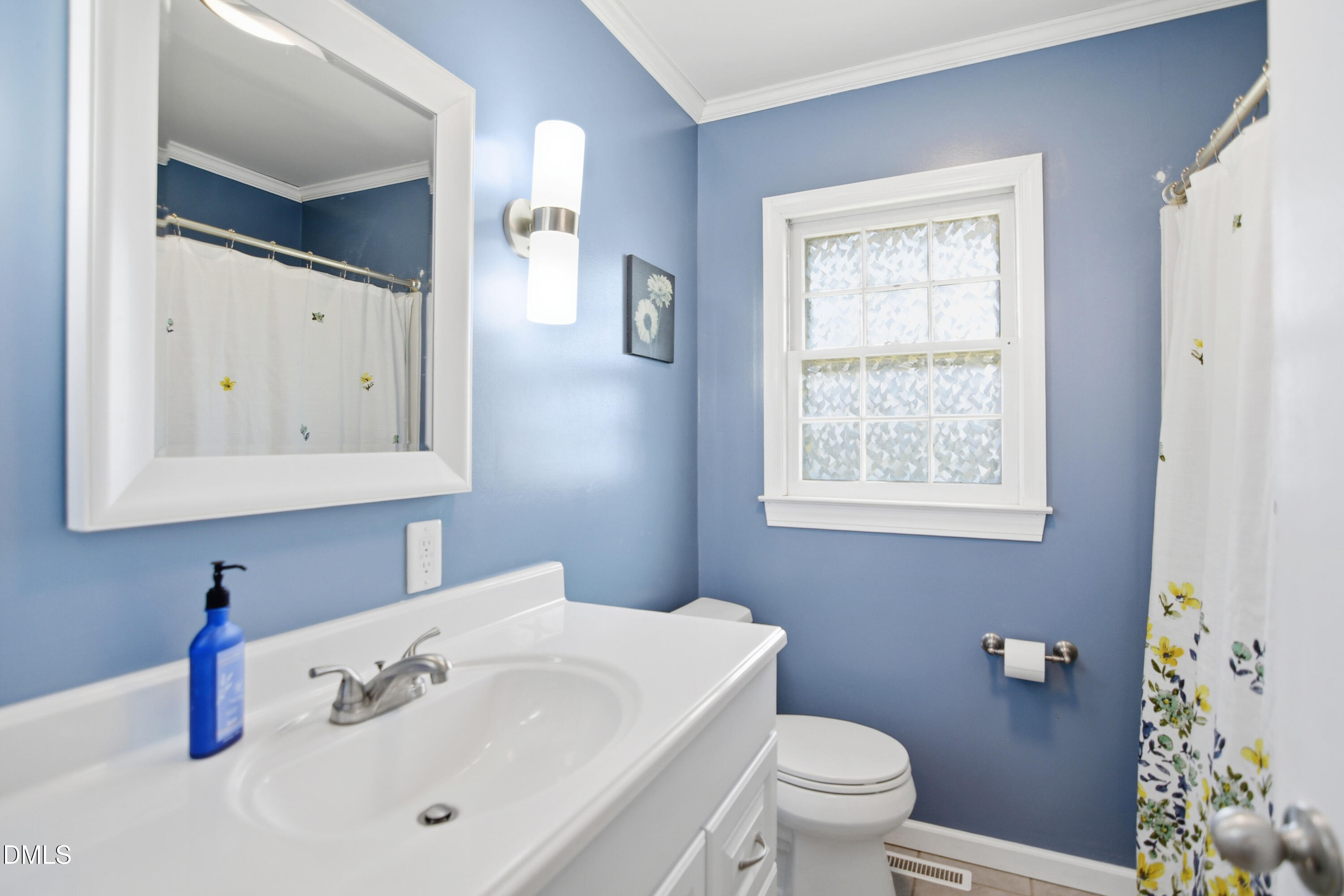 352 Eden Hills Road Siler City, NC 27344 - Photo 15 of 29 a bathroom with a sink a toilet and a mirror
