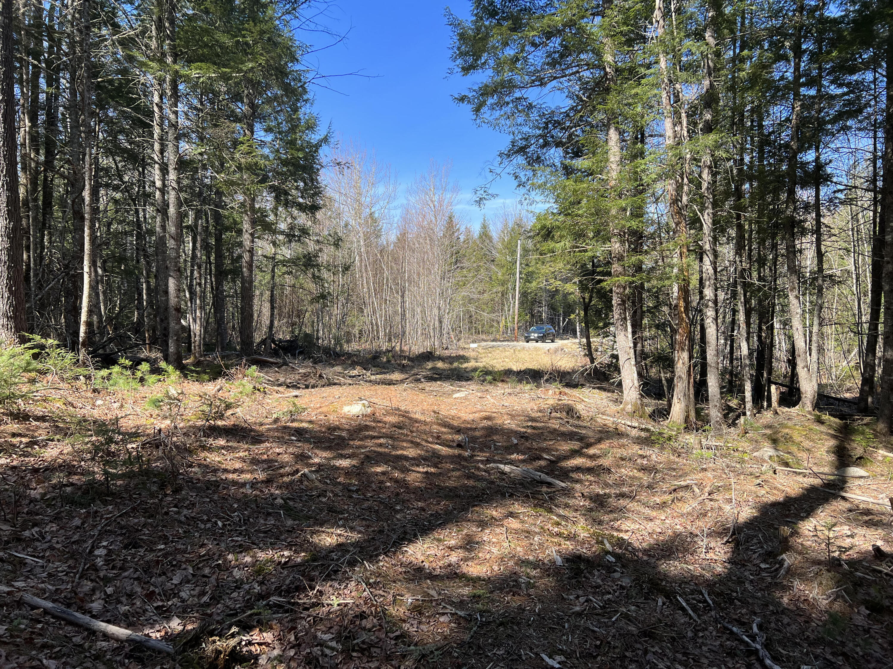 16 Peaceful Point Road Ellsworth, ME 04605 - Photo 6 of 13 Driveway Cut in
