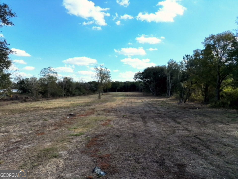 Tbd Tbd Goodson Road Camilla, GA 31730 - Photo 3 of 6