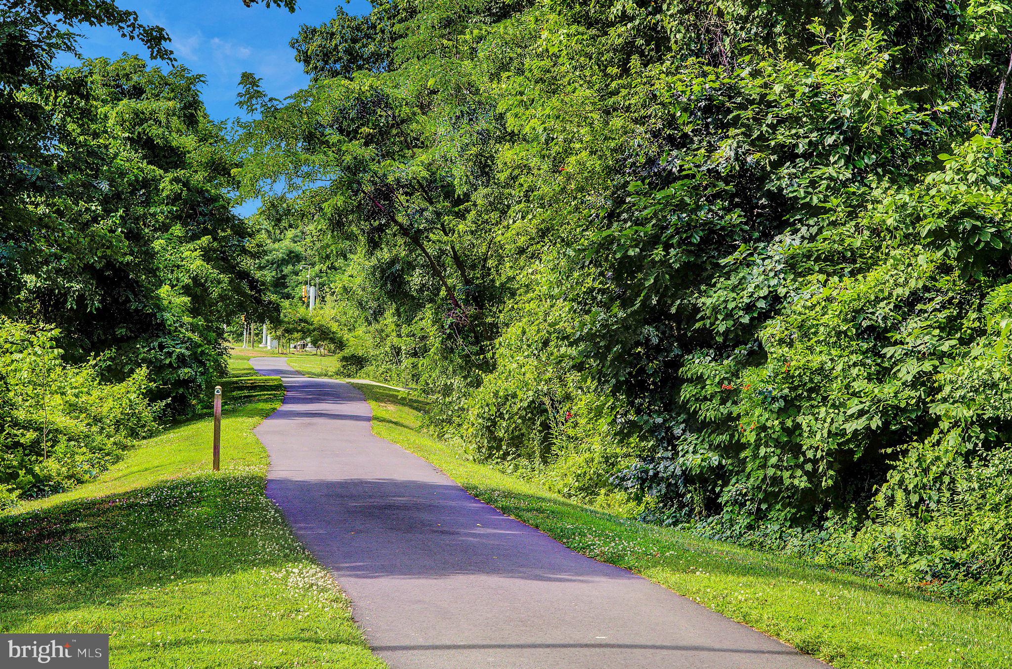 2234 Henry Watts Loop Woodbridge, VA 22191 - Photo 66 of 76