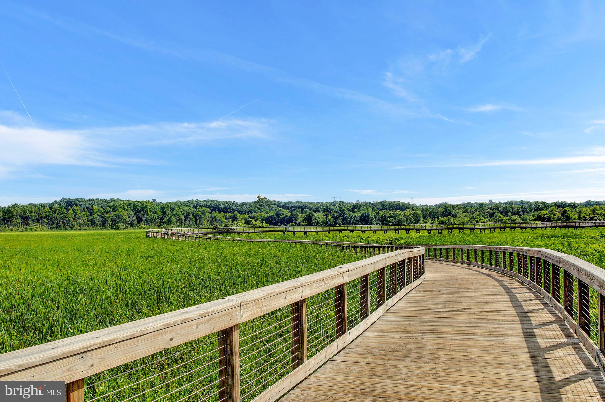 2234 Henry Watts Loop Woodbridge, VA 22191 - Photo 71 of 76